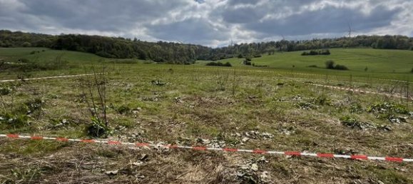 599m² Land in Saint-Pancre, France No. 67576 4