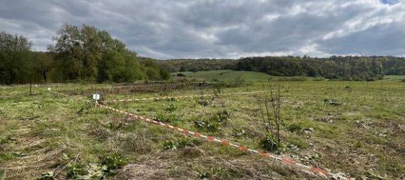 599m² Land in Saint-Pancre, France No. 67576 8