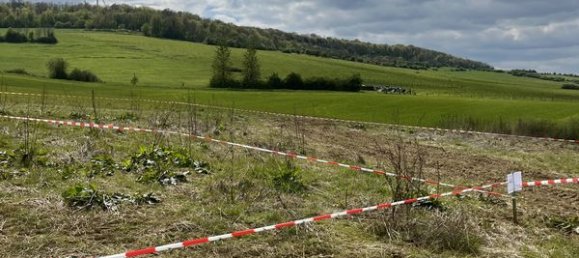 599m² Land in Saint-Pancre, France No. 67576 5
