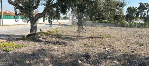 5140m² Land in Setubal, Portugal No. 61517 7