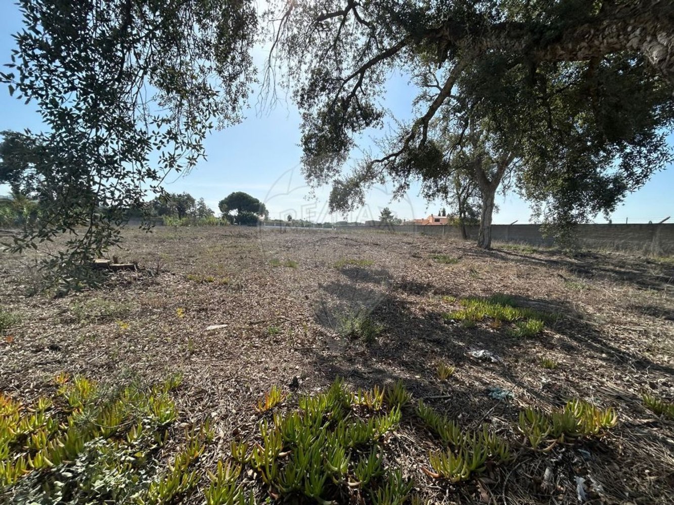 5140m² Land in Setubal, Portugal No. 61517