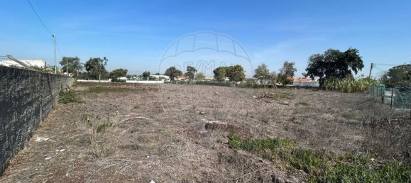 5140m² Land in Setubal, Portugal No. 61517 2