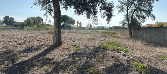 5140m² Land in Setubal, Portugal No. 61517 13