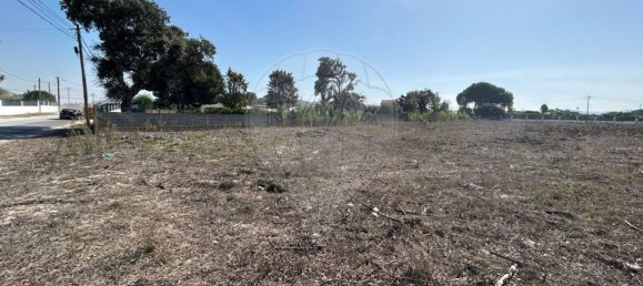 5140m² Land in Setubal, Portugal No. 61517 11