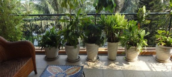 Вилла с 5 спальнями в Тэйхо, Вьетнам № 5105 25