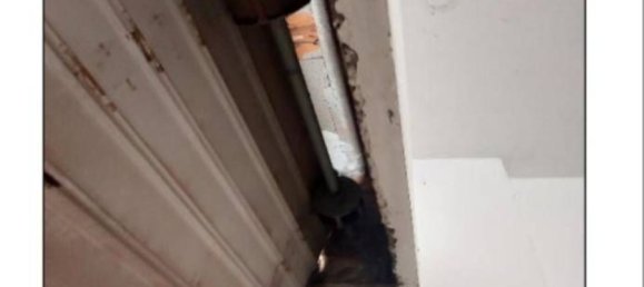 Imóvel comercial em Rome, Italy 76 m² N.º 294324 8