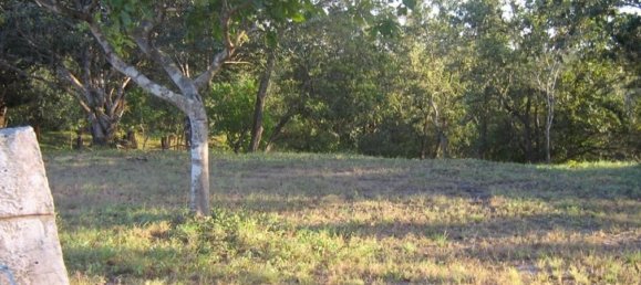  Land in Liberia, Costa Rica No. 1826 2