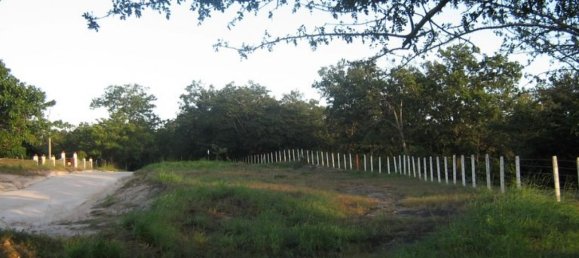  Land in Liberia, Costa Rica No. 1826 4