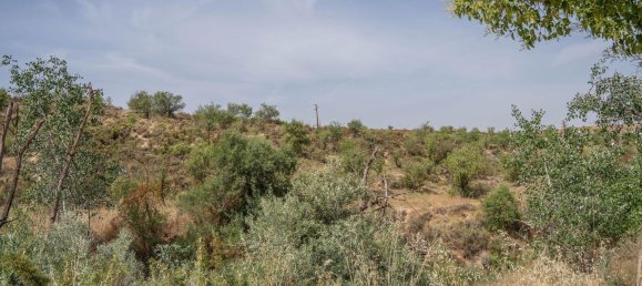  Land in Granada, Spain No. 152907 21