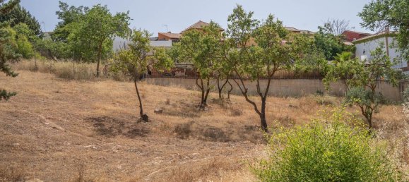  Land in Granada, Spain No. 152907 20