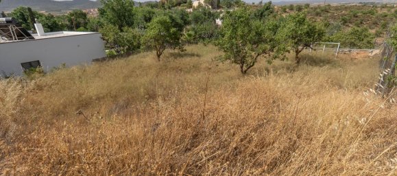  Land in Granada, Spain No. 152907 40