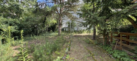 Terreno en Muggelheim, Germany No. 221866 10