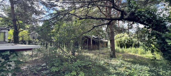 Terreno en Muggelheim, Germany No. 221866 8