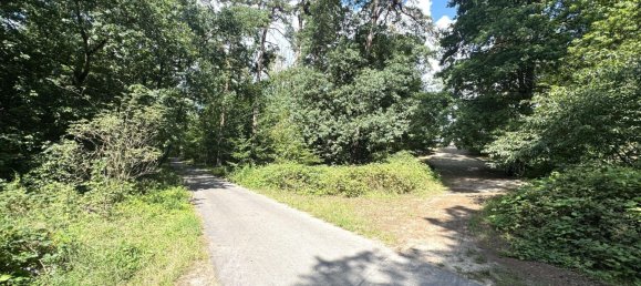 Terreno en Muggelheim, Germany No. 221866 14