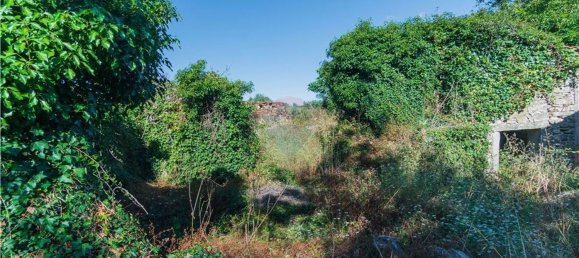 1 Schlafzimmer Haus in Penela, Portugal, Nr. 182041 10