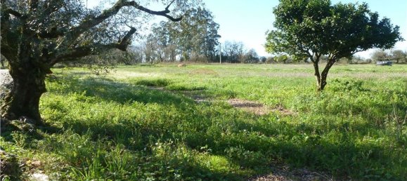 1 Schlafzimmer Haus in Penela, Portugal, Nr. 182041 7