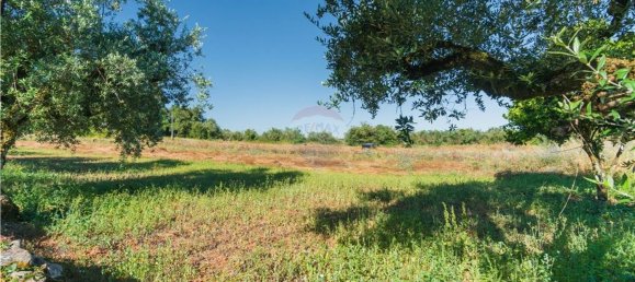1 Schlafzimmer Haus in Penela, Portugal, Nr. 182041 9