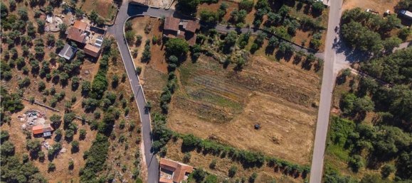 1 Schlafzimmer Haus in Penela, Portugal, Nr. 182041 12