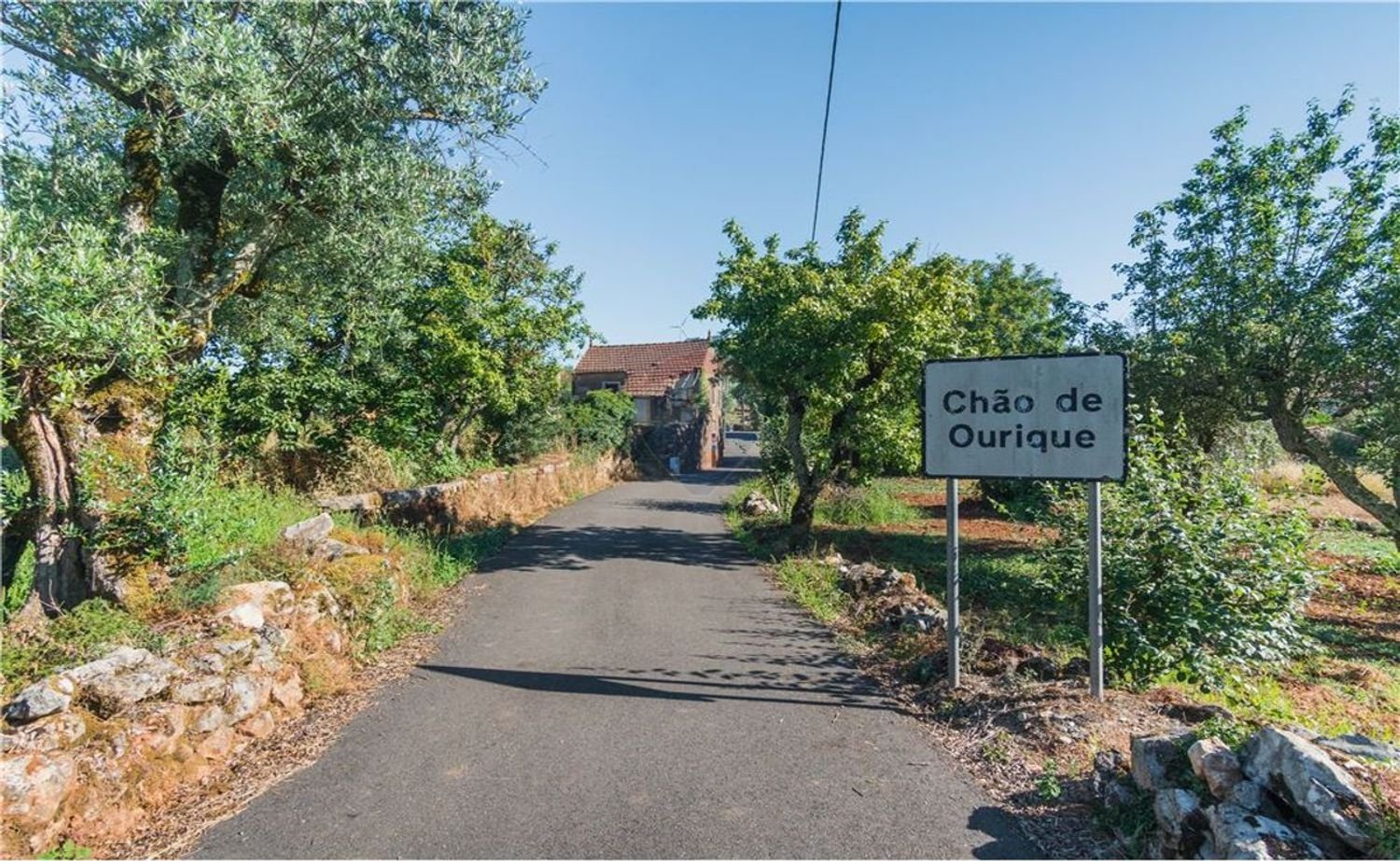 1 Schlafzimmer Haus in Penela, Portugal, Nr. 182041
