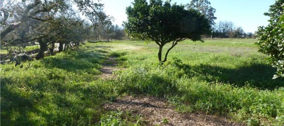 1 Schlafzimmer Haus in Penela, Portugal, Nr. 182041 11