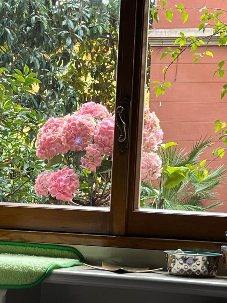  مكتب في Rome, Italy 43متر مربع رقم 11876