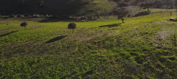 4 chambres Maison à Serpa, Portugal No. 71927 17