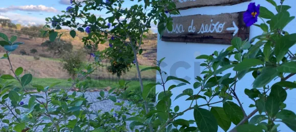 4 chambres Maison à Serpa, Portugal No. 71927 47