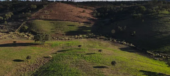 4 chambres Maison à Serpa, Portugal No. 71927 18