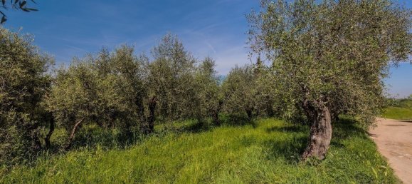 2 chambres Maison à Casciana Terme Lari, Italy No. 125088 13