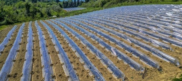 2 chambres Maison à Casciana Terme Lari, Italy No. 125088 17