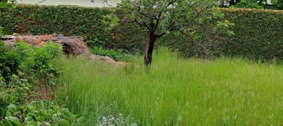 Land in Alt-Hohenschonhausen, Germany No. 258036 12