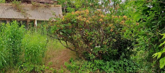 Land in Alt-Hohenschonhausen, Germany No. 258036 8