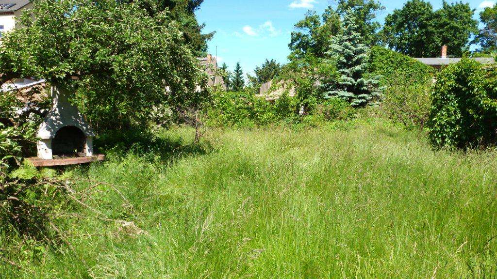  Land in Oder-Spree, Germany No. 261022