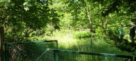  Land in Oder-Spree, Germany No. 261022 2