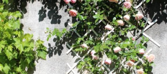 Дом с 4 спальнями в Монтуар-сюр-ле-Луар, Франция № 217503 17