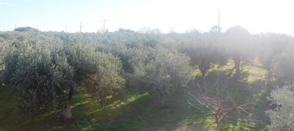 فندق في Chalkidiki, Greece 22000متر مربع رقم 7468 9