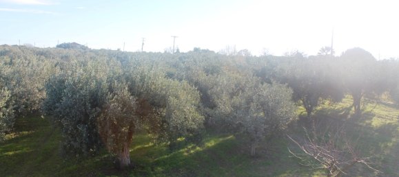 فندق في Chalkidiki, Greece 22000متر مربع رقم 7468 8