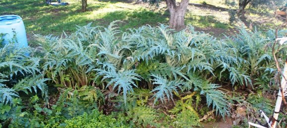 فندق في Chalkidiki, Greece 22000متر مربع رقم 7468 23