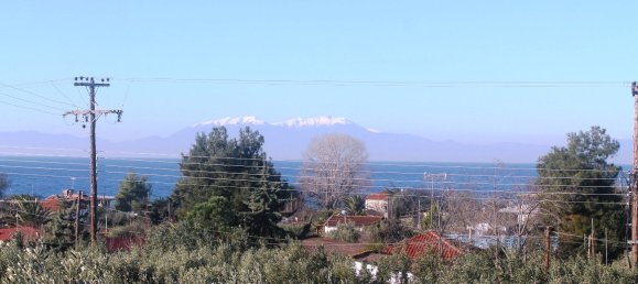 فندق في Chalkidiki, Greece 22000متر مربع رقم 7468 4