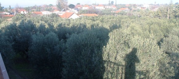 فندق في Chalkidiki, Greece 22000متر مربع رقم 7468 12