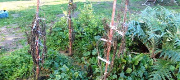 فندق في Chalkidiki, Greece 22000متر مربع رقم 7468 22