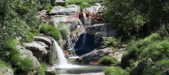 قطعة أرض في Cortes do Meio, Portugal 1980متر مربع رقم 68045 6