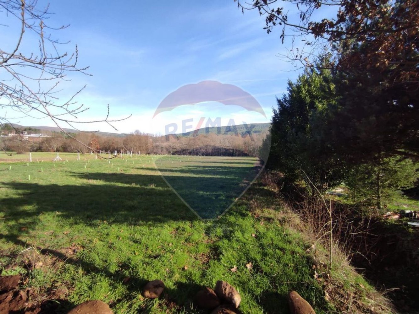  قطعة أرض في Cortes do Meio, Portugal 1980متر مربع رقم 68045