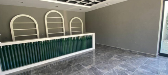 Квартира 1+1 в Махмутлар, Турция № 16181 11