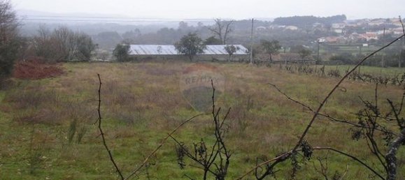 1 bedroom House in Mangualde, Portugal No. 165615 3