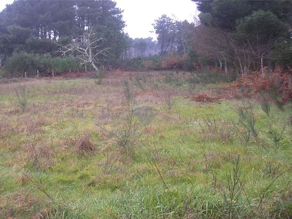 1 bedroom House in Mangualde, Portugal No. 165615