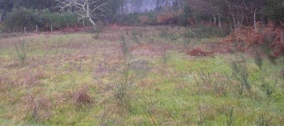 1 bedroom House in Mangualde, Portugal No. 165615 6