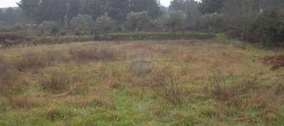 1 bedroom House in Mangualde, Portugal No. 165615 4