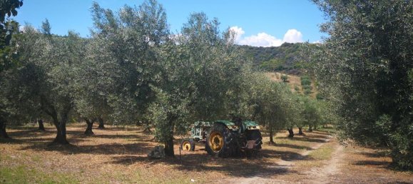 3 bedrooms Commercial property in Chalkidiki, Greece No. 4725 14