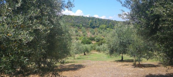 3 bedrooms Commercial property in Chalkidiki, Greece No. 4725 13